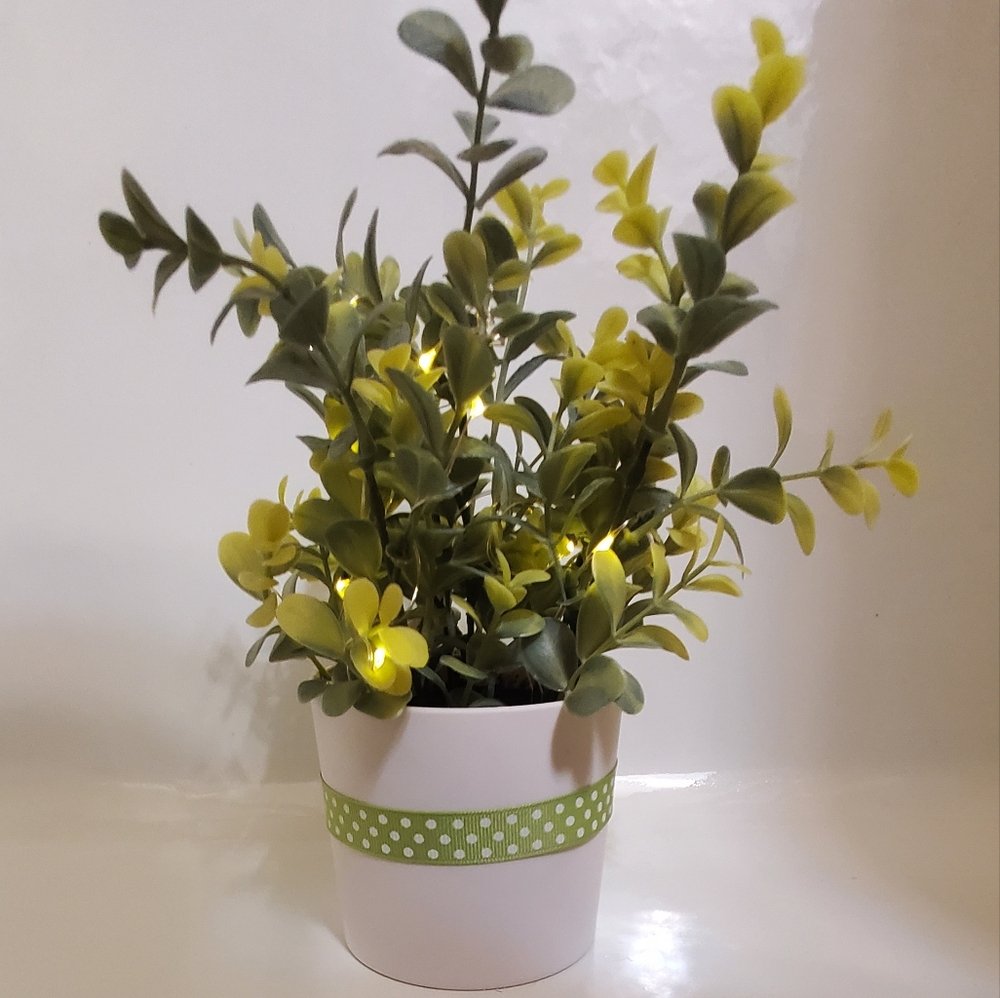 Light Up Plant - Picture 2 of 6